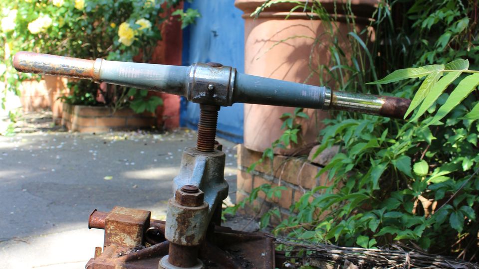 Verwachsener Gartenweg neben einer blau gestrichenen Wand mit Schild, umgeben von dichtem Grün und gelben Rosen. Im Vordergrund steht ein rostiges Metallgerät mit Hebel auf dem Boden neben einem großen Terrakottatopf.