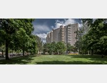 Hochhaus mit grauer Fassade und gelb-weißen Balkonen, umgeben von Bäumen und einer grünen Parkanlage mit Rasenfläche im Vordergrund; am linken Bildrand parken Autos entlang einer Straße.