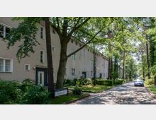 Wohnstraße mit mehrstöckigen Wohnhäusern in einfacher, klarer Bauweise, flankiert von großen Bäumen und Grünflächen. Auf der rechten Straßenseite sind parkende Autos zu sehen, die von dichten Baumkronen beschattet werden.