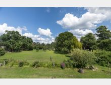 Weitläufige Grünfläche mit vereinzelten Bäumen und Sträuchern, umgeben von dichter Vegetation und einem klaren blauen Himmel mit weißen Wolken. Im Vordergrund stehen niedrige Pflanzen und ein Holzkübel.