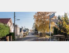 Straßenszene in einem Wohngebiet mit Einfamilienhäusern, Vorgärten und Bäumen. Im Vordergrund Straßenschilder mit den Namen „Straße 245“ und „Thiessstraße“, im Hintergrund geparkte Autos und Herbstlaub auf Bäumen.