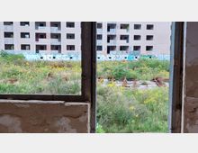 Blick durch ein zerbrochenes Fenster auf ein verlassenes Gebäude mit leerstehenden Fensteröffnungen und Graffiti an den Wänden. Im Vordergrund eine verwilderte Fläche mit Gräsern, gelben Blumen und Metallteilen auf dem Boden.