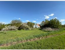 Eine Landschaft mit einer Wiese im Vordergrund, umgeben von blühenden Bäumen und Sträuchern, sowie einem kleinen weißen Haus mit rotem Ziegeldach im Hintergrund unter einem klaren blauen Himmel.