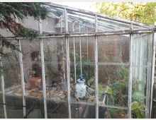 Ein altes Gewächshaus mit verwittertem Holzrahmen und verglasten Wänden. Im Inneren befinden sich vertrocknete Pflanzen, Töpfe, sowie ein Sprühgerät auf einem Tisch; im Hintergrund ist eine Ziegelwand zu erkennen.