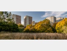 Hochhäuser aus Beton mit teils farbigen Balkonen, umgeben von herbstlich gefärbten Bäumen und einer Wiese im Vordergrund. Im Hintergrund blauer Himmel mit vereinzelten Wolken.