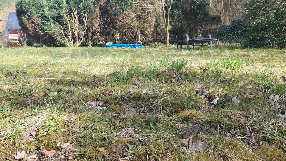 Blick über eine moosige Wiese mit Laub und einem kleinen Erdhügel im Vordergrund. Im Hintergrund stehen dichte Nadel- und Laubbäume; rechts ist ein Picknicktisch mit Bänken und links ein kleines Gartenhäuschen zu sehen.