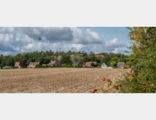 Ein abgeerntetes Feld im Vordergrund, umgeben von vereinzelten Büschen mit roten Beeren, führt zu einer Ansammlung von Häusern mit roten und dunklen Dächern vor einer Baumreihe; darüber ein bewölkter Himmel.
