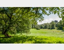Eine weitläufige Wiese mit umgebenden Bäumen, durchzogen von einem Holzzaun auf der rechten Seite; im Vordergrund steht eine Holzbank unter einem großen, schattenspendenden Baum. Der Himmel ist klar mit wenigen weißen Wolken.