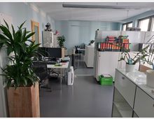 Großraumbüro mit Schreibtischen, Monitoren und Bürostühlen, umgeben von Schränken mit Aktenordnern. Im Raum befinden sich auch mehrere große und kleine Zimmerpflanzen, mit Fenstern an der rechten Wand, die Tageslicht hereinlassen.