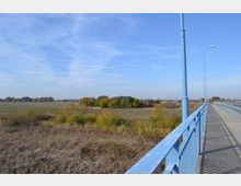 Brücke mit blauem Geländer, die rechts im Bild entlangführt, daneben eine weitläufige, grasbewachsene Landschaft mit vereinzelten Bäumen und Büschen unter blauem Himmel.