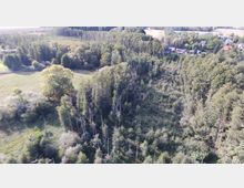 Luftaufnahme einer bewaldeten Landschaft mit dichten Baumgruppen, einer angrenzenden Wiese und wenigen verstreuten Gebäuden am oberen Bildrand. Im Hintergrund sind landwirtschaftliche Felder und weitere Vegetation zu sehen.