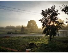 Eine ländliche Szenerie bei Sonnenaufgang mit einem Baum im Vordergrund, durch dessen Blätter das Sonnenlicht scheint. Im Hintergrund sind eine Straße, eine Bushaltestelle, ein Feld und mehrere Bäume in leichtem Nebel zu sehen.