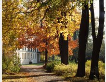Herbstliche Parklandschaft mit Laubbäumen in leuchtenden Gelb- und Orangetönen, einem schmalen Weg und einem Gebäude mit heller Fassade im Hintergrund. Vor dem Gebäude steht eine Statue, und Sonnenstrahlen durchdringen die Baumkronen.