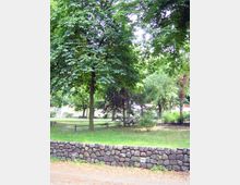 Park mit grüner Rasenfläche, mehreren großen Laubbäumen und einem niedrigen Steinzaun im Vordergrund. Im Hintergrund sind vereinzelte Bänke und Gebäude sichtbar.
