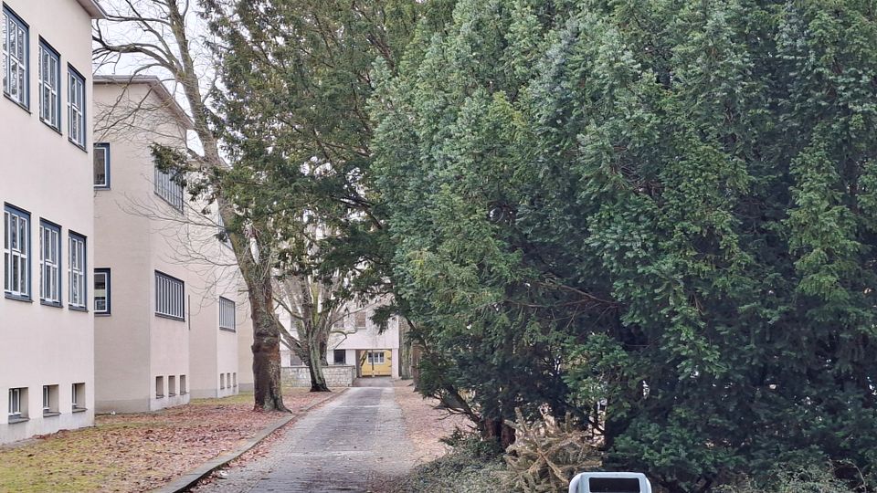 Gepflasterter Fußweg zwischen hellen, mehrstöckigen Gebäuden, gesäumt von großen Bäumen und dichtem immergrünem Gebüsch. Am Ende des Weges steht ein Gebäudeeingang mit gelber Tür und kleinem Vordach.