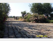 Gepflasterter Weg auf einem ländlichen Hof, flankiert von blühenden Rosenbüschen und Bäumen; im Hintergrund sind ein Holztor und ein offenes Feld erkennbar.