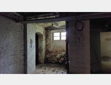 Dunkler Kellerraum mit weißen Backsteinwänden, teils stark abgeblättertem Putz und sichtbaren Rohren an der Decke. Ein kleines Fenster lässt wenig Licht herein, und ein Durchgang führt zu einem angrenzenden Bereich.