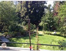 Ein grüner Garten mit einer Rasenfläche, umgeben von zahlreichen Bäumen und Sträuchern. Im Vordergrund befinden sich ein Geländer, eine Laterne und Pflanzendekoration; links steht eine Sonnenliege neben einem kleinen Tisch.