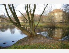 Ein kleiner Teich in einer Parklandschaft, umgeben von grasbewachsenen Ufern, kahlen Bäumen und einem Gebäude mit roten Ziegeldächern im Hintergrund, das im Wasser reflektiert wird. Im Teich schwimmen Enten, und der Boden ist mit Herbstlaub bedeckt.