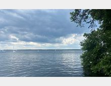 Seeufer mit Blick auf einen breiten See unter bewölktem Himmel, mit mehreren Segelbooten und einem größeren Schiff in der Ferne; rechts im Bild ragen grüne Äste eines Baumes ins Bild.