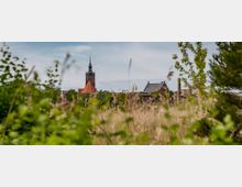 Eine Kirchturmspitze mit Uhr und einer roten Dachlandschaft im Hintergrund, umgeben von historischen Gebäuden, ist durch hohes Gras und grüne Bäume im Vordergrund eingerahmt. Der Himmel ist leicht bewölkt.