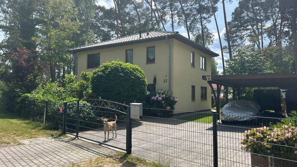 Zweistöckiges, hell verputztes Wohnhaus mit flachem Walmdach in einem grünen Garten, umgeben von hohen Bäumen. Vorn sind ein Metallzaun mit Einfahrtstor, gepflasterte Zufahrt und ein Carport neben dem Haus zu sehen.