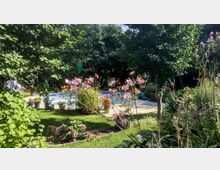 Ein Garten mit einem runden, blauen Pool im Hintergrund, umgeben von blühenden Pflanzen und Bäumen. Im Vordergrund stehen rosa Blumen, während auf einer Rasenfläche Blumentöpfe und ein kleiner Hund zu sehen sind.