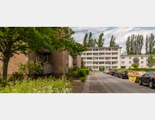 Wohnsiedlung mit mehrstöckigen Wohnhäusern, umgeben von Bäumen und Grünflächen. Eine gepflasterte Straße mit parkenden Autos verläuft zwischen den Gebäuden; im Vordergrund befinden sich ein Baum und Sträucher.