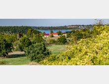 Landschaft mit Wiesen und Bäumen im Vordergrund, einer kleinen Siedlung mit roten Dächern in der Mitte und einem See im Hintergrund, umgeben von dichten Wäldern.