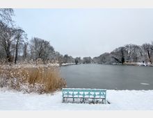 Ein verschneiter See in einer Winterlandschaft, umgeben von kahlen Bäumen und schneebedecktem Schilf. Im Vordergrund steht eine türkisfarbene Metallbank am Ufer.