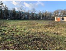 Freifläche mit grasbewachsenem Boden, umgeben von Bäumen, die teilweise ein Büro- oder Wohngebäude im Hintergrund verdecken; rechts steht ein kleines Gebäude mit orangefarbenen Türen.