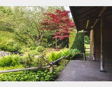 Japanischer Garten mit dichter, grüner Bepflanzung, darunter Farne und ein Baum mit roten Blättern, im Hintergrund eine mit Efeu bedeckte Hecke. Rechts ist ein traditionelles Gebäude mit Holzpfosten und schrägem Dach zu sehen, davor ein Weg mit einem niedrigen Bambusgeländer.