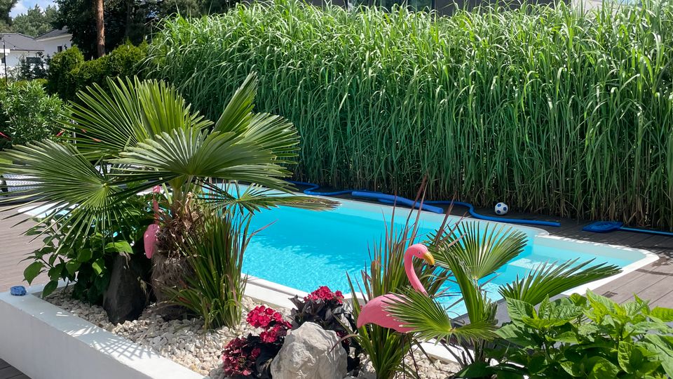 Ein moderner Garten mit einem rechteckigen Pool, umgeben von Pflanzen wie Palmen und Ziergräsern. Im Hintergrund steht ein anthrazitfarbenes Gebäude mit großen Fenstern, während der Vordergrund von dekorativen weißen Steinen und künstlichen Flamingo-Figuren geprägt ist.