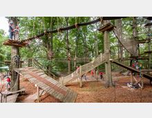 Ein Hochseilgarten im Wald mit Plattformen, Seilbrücken, Netzen und hölzernen Konstruktionen, an denen Menschen mit Sicherheitsausrüstung klettern und balancieren. Der Boden ist mit Holzspänen bedeckt, umgeben von hohen Bäumen.