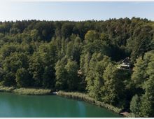 Luftaufnahme eines Waldes mit dichtem Laubbaumbestand an einem klaren, grünen Seeufer; am rechten Bildrand steht ein einzelnes Haus mit steilem Dach, umgeben von Bäumen.
