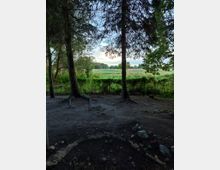 Waldlichtung mit dunklem Erdboden im Vordergrund, umgeben von hohen Bäumen und Sträuchern. Im Hintergrund öffnet sich eine weite, grüne Wiesenlandschaft unter einem teils bewölkten Himmel.