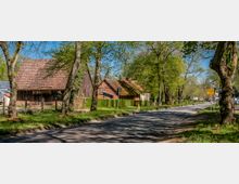 Tree-lined rural road passing through a small village, with a narrow paved street bordered by grassy verges and tall deciduous trees. Traditional farm buildings with red-tiled roofs and timber-and-brick facades sit behind hedges and fences, with roadside signs visible near the bend.