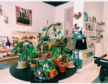 Ein gemütlicher Laden mit weißen Wänden und Regalen, die Bücher, Keramikgeschirr, Taschen und Dekorationsartikel ausstellen. Im Vordergrund steht ein runder Tisch mit mehreren Pflanzen in Töpfen und Körben.
