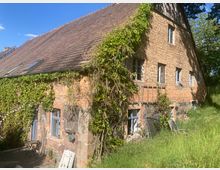 Backsteinbauernhaus mit steilem Satteldach, bewachsen mit Kletterpflanzen. Mehrere Fenster und Glasdachfenster, umgeben von einer Wiese und einigen Bäumen im Hintergrund.