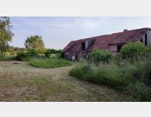 Altes, backsteingemauertes Bauernhaus mit roten Ziegeldach, teils beschädigt, umgeben von hohem Gras, Büschen und einem Baum. Im Vordergrund eine Rasenfläche, im Hintergrund ländliche Umgebung mit weiteren Bäumen.