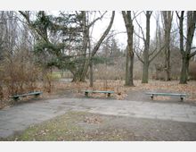 Öffentlicher Park im Herbst mit kahlen Bäumen, braunem Laub auf dem Boden und drei einfachen grünen Holzbänken, die auf einer gepflasterten Fläche stehen. Im Hintergrund sind Gehwege und dichtes Gebüsch zu sehen.