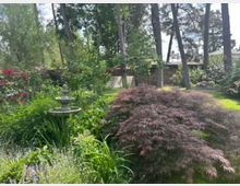 Gepflegter Garten mit dichtem Grün, bunten Blühpflanzen und einem kleinen steinernen Brunnen im Vordergrund. Im Hintergrund stehen hohe Kiefern, ein gepflegter Rasen sowie ein Holzschuppen mit gestapeltem Brennholz.