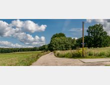 Ein ländlicher Weg führt durch eine offene Wiesenlandschaft mit hohen Bäumen im Hintergrund, darunter ein Wegweiser mit der Aufschrift „Vogelweg“. Am Himmel sind zahlreiche weiße Wolken vor einem klaren, blauen Hintergrund zu sehen.