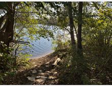 Waldweg mit herbstlichem Blattwerk, der zu einem Seeufer führt. Im Hintergrund ist das glitzernde Wasser des Sees sichtbar, umgeben von dichter Vegetation und Bäumen.