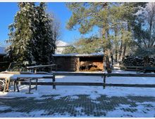 Ein verschneiter Hof mit einem Unterstand, in dem ein Pferd steht und Heu frisst. Im Hintergrund sind hohe Bäume und ein Holzgebäude zu sehen, während der Boden mit Schnee bedeckt ist.