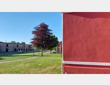 Grüne Rasenfläche mit einem Baum in der Mitte, im Hintergrund ein langes, altes Backsteingebäude mit schwarzen Fenstern; rechts im Vordergrund eine rosafarbene Hauswand. Der Himmel ist klar und blau.