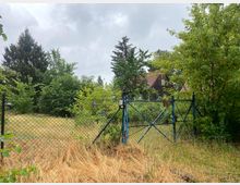 Ein Zaun aus Maschendraht und ein blau gestrichener Metalltor stehen vor einem bewachsenen Grundstück mit Gras, Bäumen und Büschen. Im Hintergrund ist ein Gebäude mit roten Dachziegeln sichtbar, umgeben von dichter Vegetation.