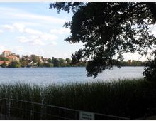 Ein See mit Schilf im Vordergrund, darüber ragen Baumäste. Im Hintergrund befinden sich Häuser und Gebäude einer Kleinstadt am Ufer, unter einem Himmel mit vereinzelten Wolken.