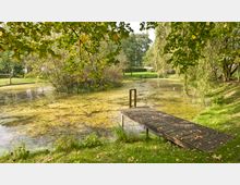 Ein kleiner Teich in einer Parklandschaft, umgeben von Bäumen und Sträuchern. Ein schmaler Holzsteg ragt ins Wasser, das mit Algen bedeckt ist, und herabhängende Äste eines Baumes rahmen die Szene ein.