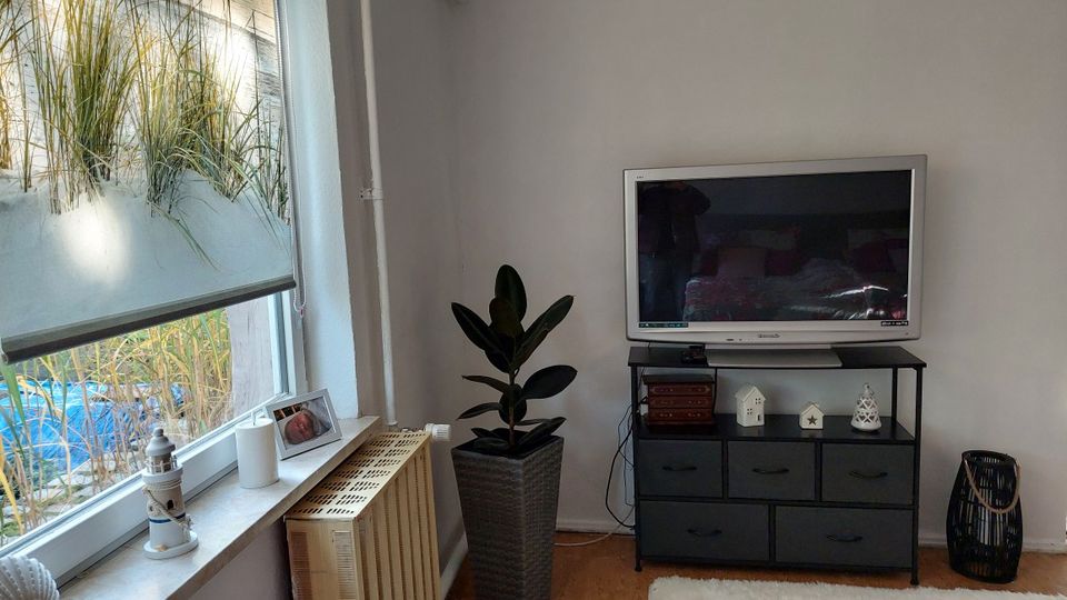 Helle Wohnzimmerecke mit großem Fenster und halb heruntergelassenem Rollo, davor eine Fensterbank mit Dekoobjekten und Bilderrahmen. Rechts stehen eine hohe Topfpflanze sowie ein schwarzes TV-Sideboard mit Fernseher, kleinen Dekorationen und Schubladen auf einem Holzboden.